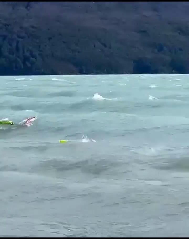 Carrera de 100m libre el Calafate