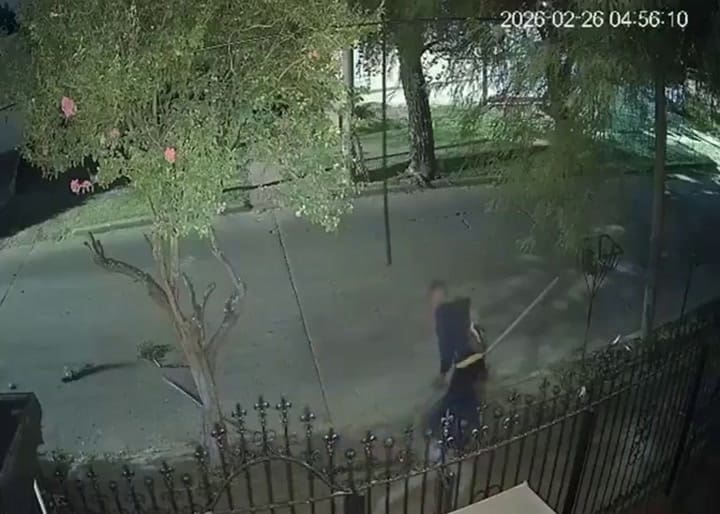 Robo del tendido eléctrico, huida y un árbol que ocultó a uno de los ladrones