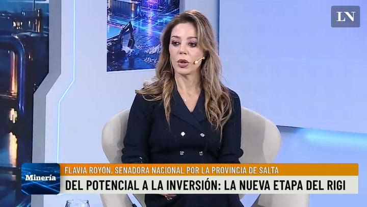 Flavia Royón: Minería y Energía como motores del desarrollo argentino