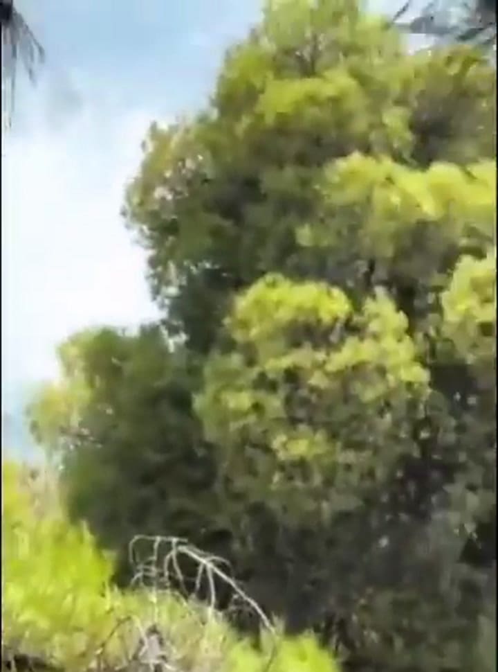 Chocaron dos helicópteros en Grecia