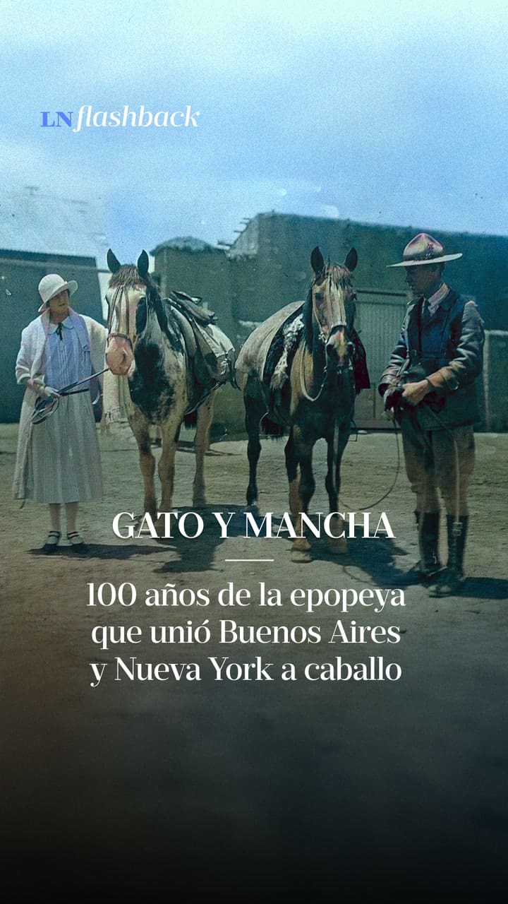 LN FLASHBACK - GATO Y MANCHA 100 AÑOS