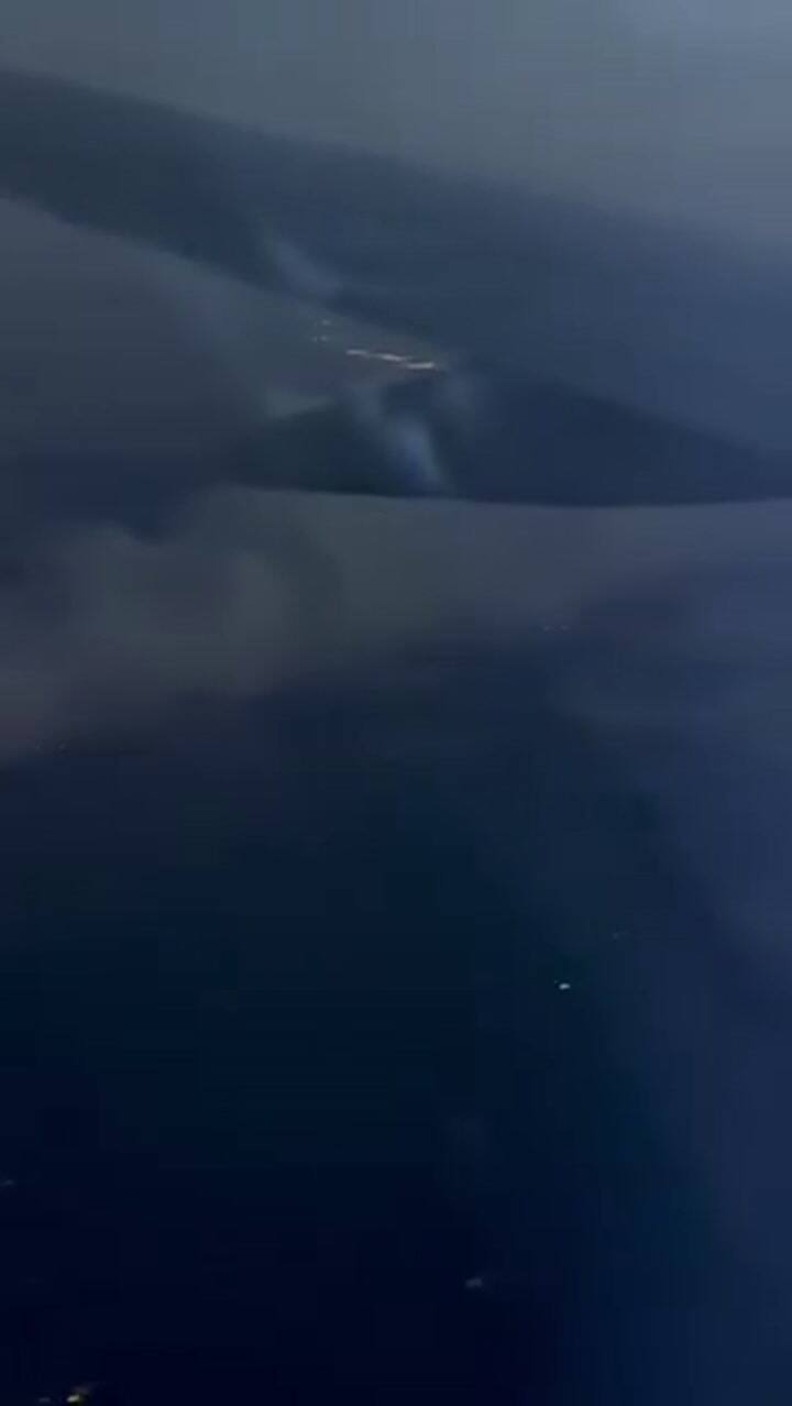 Imágenes del fuego en Fontainebleau