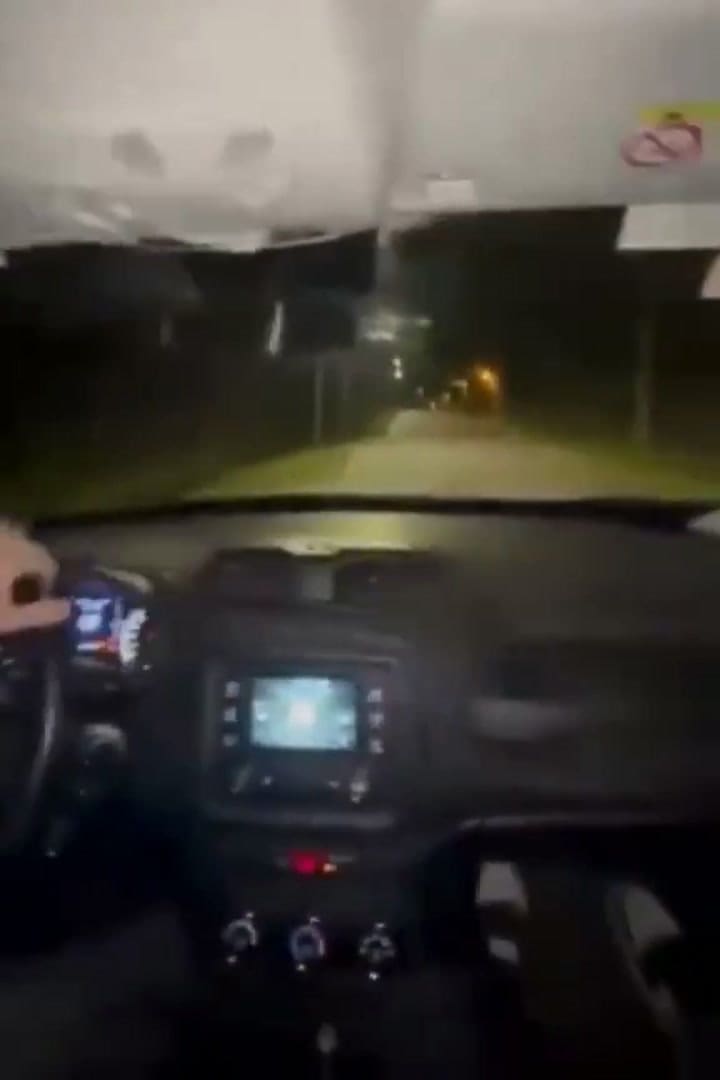 El momento del choque, grabado por el acompañante