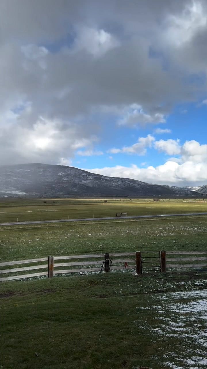 ballerinafarm