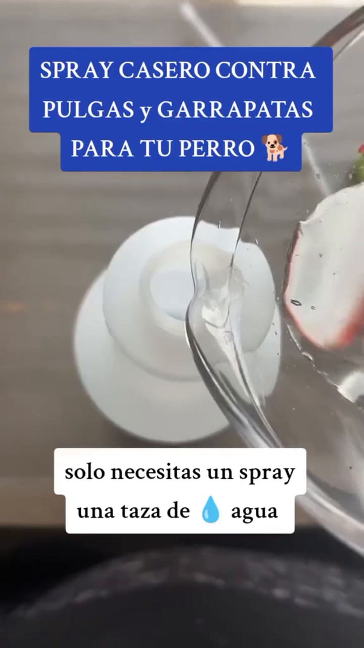 Ssstik.io 1704383859487