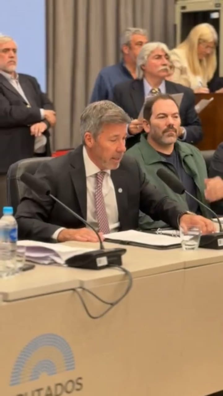 El diputado Ardohain al momento de presentar el proyecto