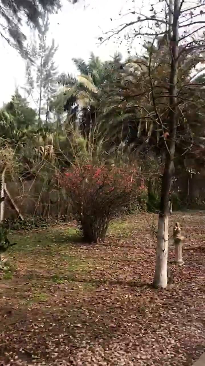 Así es la quinta del narco que se cree Pablo Escobar
