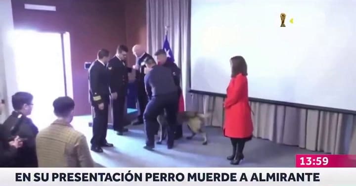 Un perro antidrogas se abalanzó sobre el bolsillo de un vicealmirante durante una ceremonia en Chile