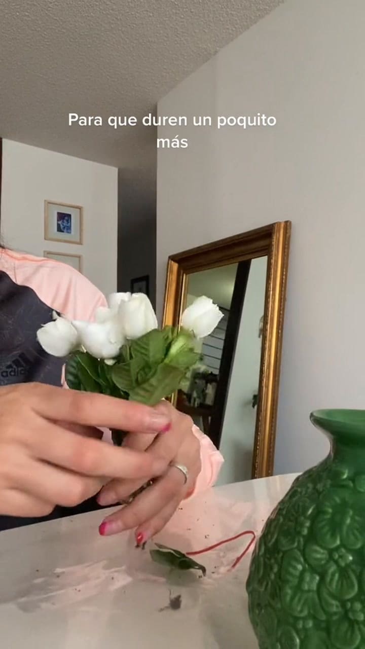 Cómo perfumar la casa con gardenias