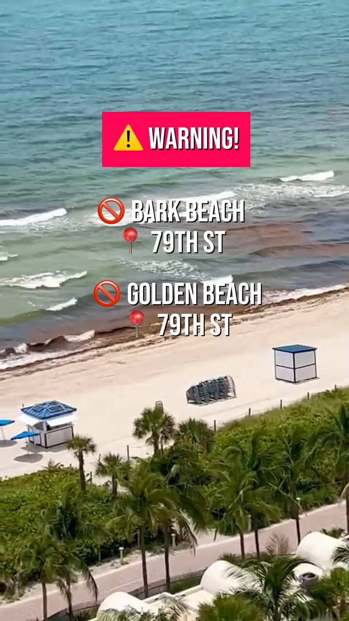 En redes sociales alertan por la problemática en las playas de Florida