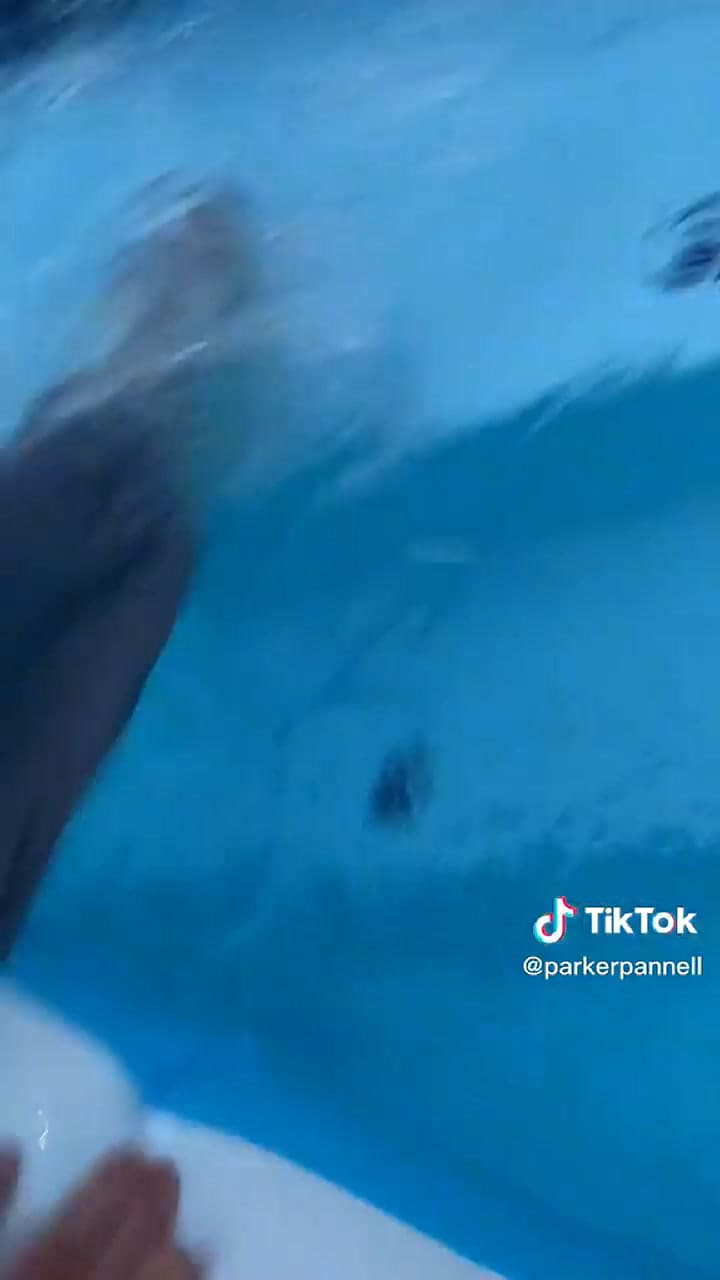 Tiktoker intentó tener una cita original pero esto ocurrió parte III