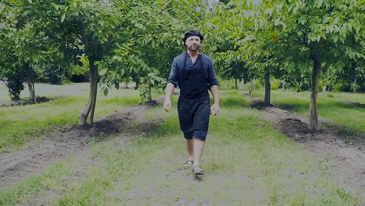 Tegui Mendoza 2019