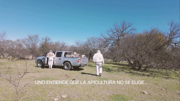 La historia de la apicultora Mónica Alonso
