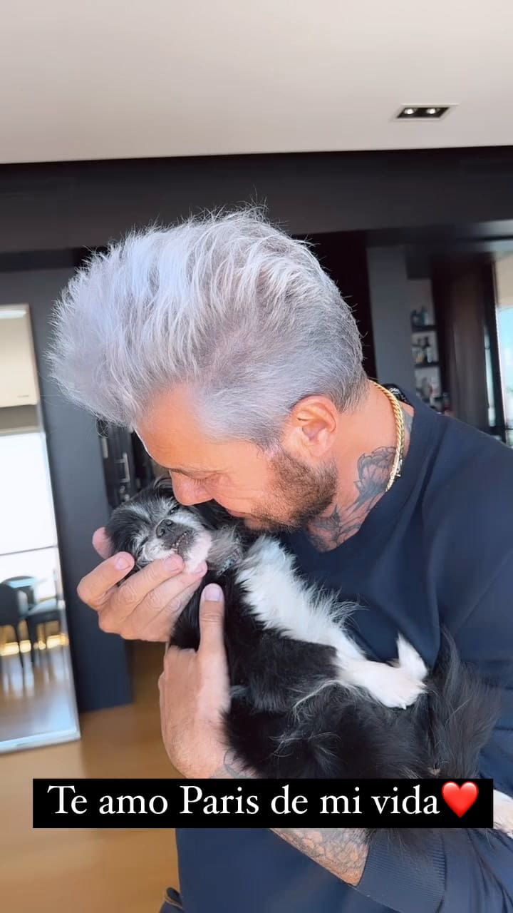 Hoy+me+toca+despedir+a+mi+amada+perrita+paris,+que+ya+no+dá+más+y+con+18+añitos,+está+con+su+cuerpito+y+sus+órganos+dañados.+gracias+a+patricia+barahona+por+darle+tanto+amor+en+todos+estos+últimos+años.+necesi
