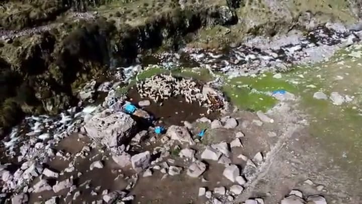 Alfonso, criador de 200 cabras a 4000 metros de altura en Perú: “Me cansé de ser peón y pensé en mi futuro”