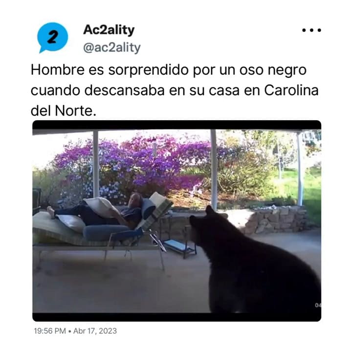 El hombre fue sorprendido por un oso mientras descansaba