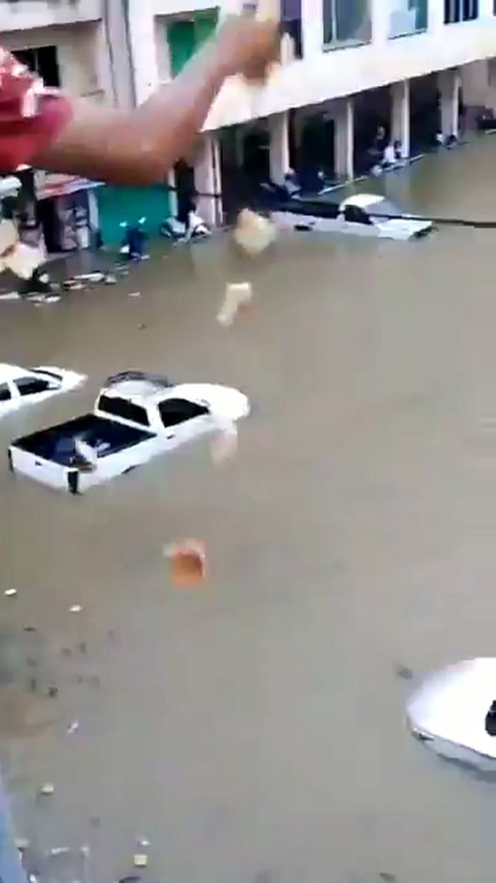 Aparecieron peces nadando por las calles de la ciudad tras las graves inundaciones