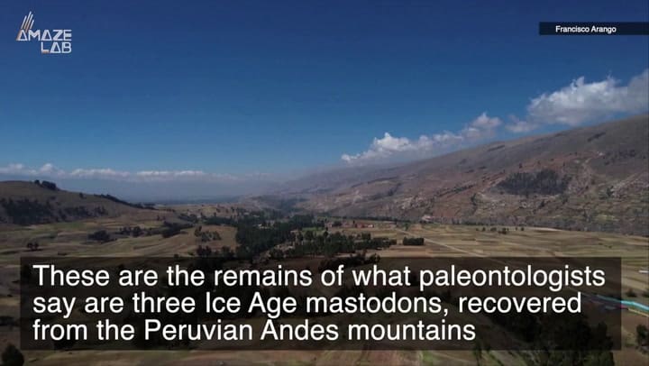 Paleontólogos descubren en Perú tres mastodontes de hace 11.000 años