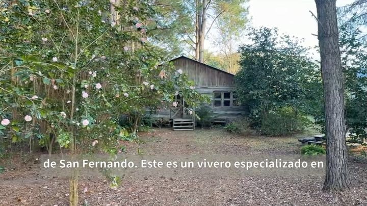 Isla De Las Camelias