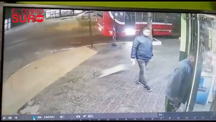 El momento en que un carancho caza un gato en Lanús Oeste