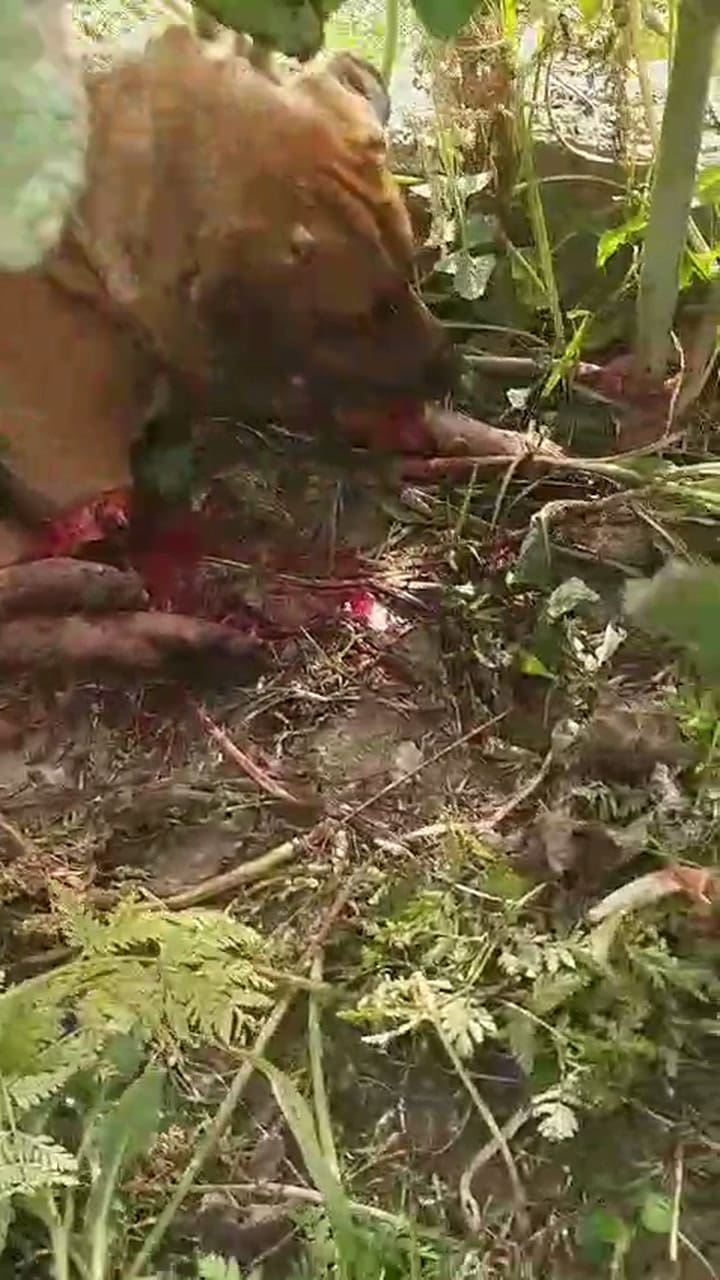 Primer video rescate Agustin