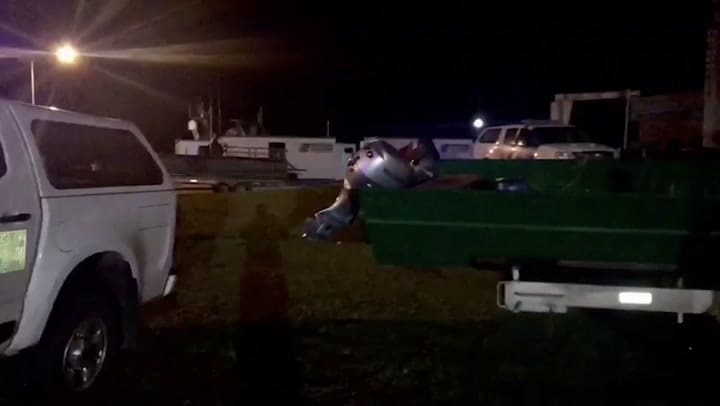 Operativo contra el contrabando a través del río Paraná, en Posadas