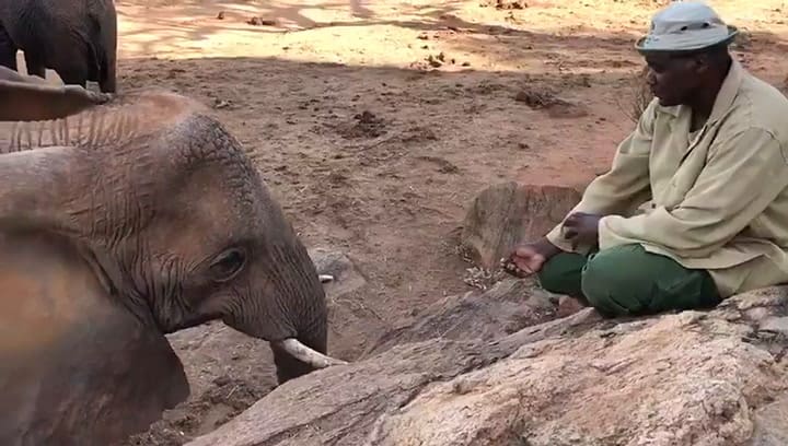 En plena naturaleza, reconoció a quien la había salvado y su reacción lo sorprendió