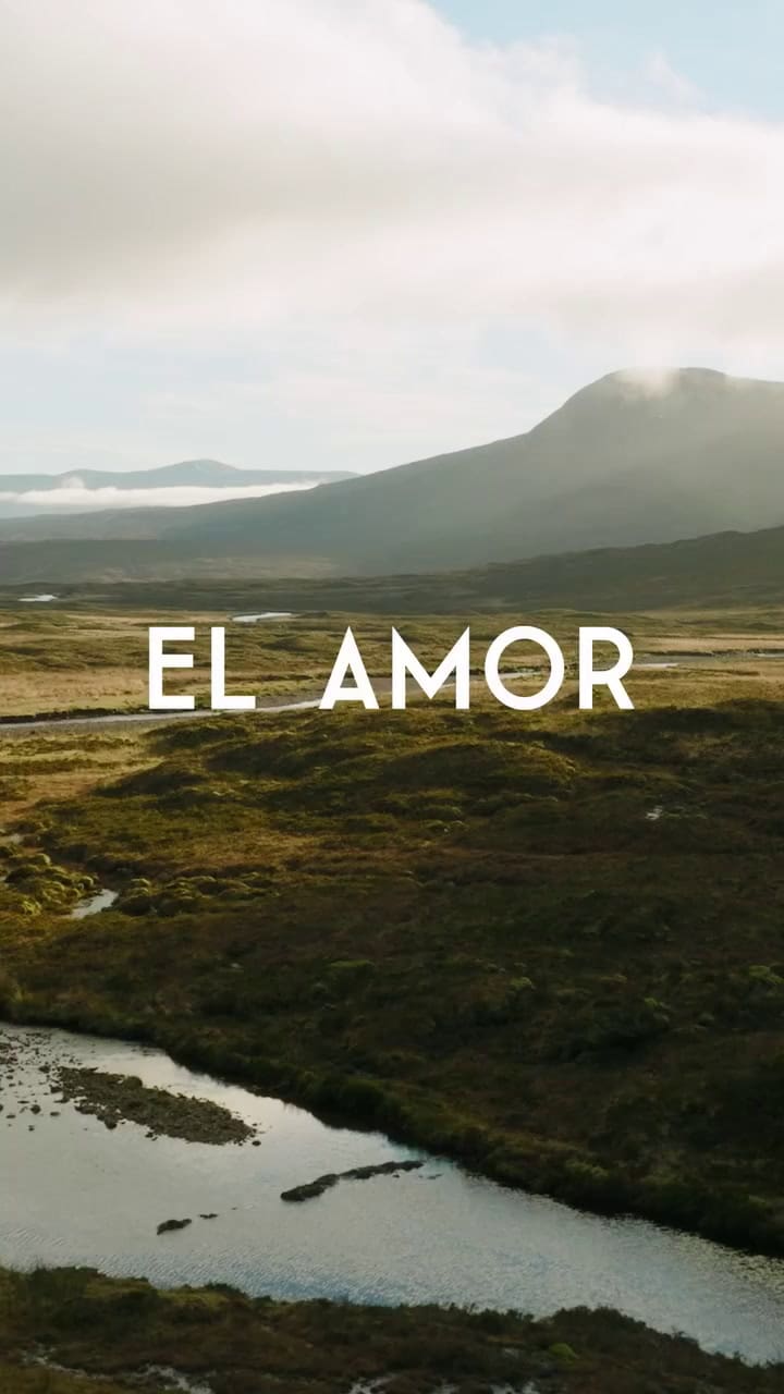 La temporada 5 de Bridgerton ya está en marcha: el romance que tomará protagonismo