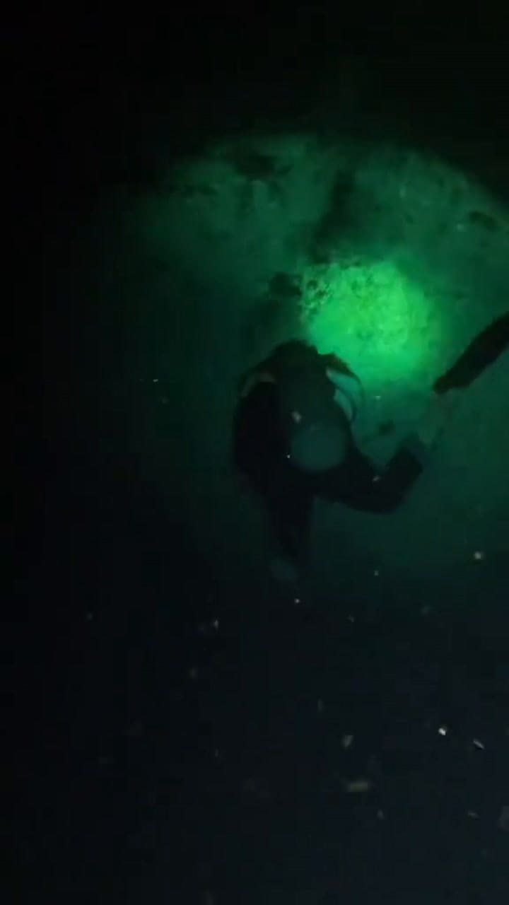 Muriel Oddenino durante una expedición de buceo