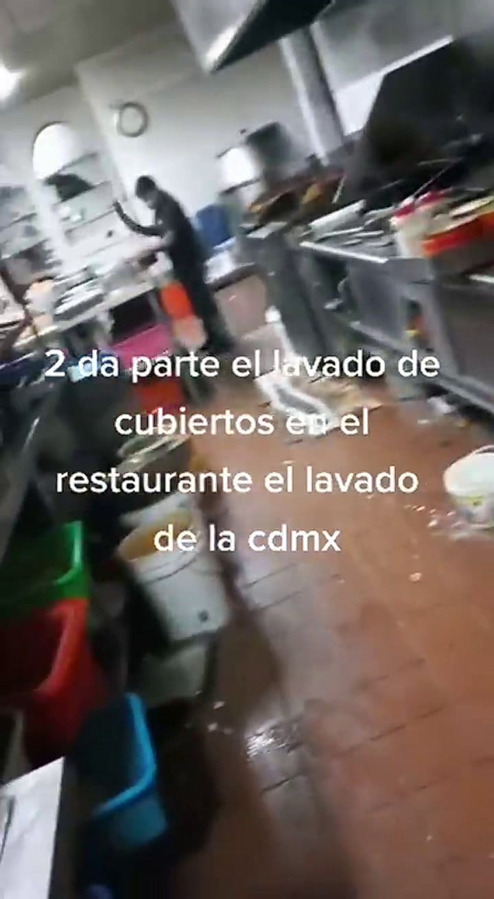 El desagradable video que compartió el usuario de TikTok