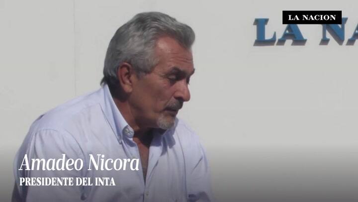 Entrevista a Amadeo Nicora Expoagro 2016.mp4