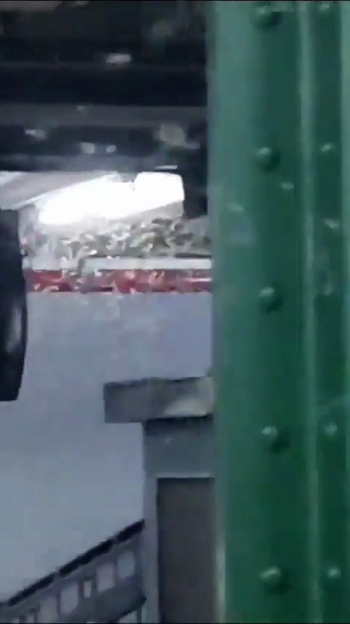 Mosquitos subte