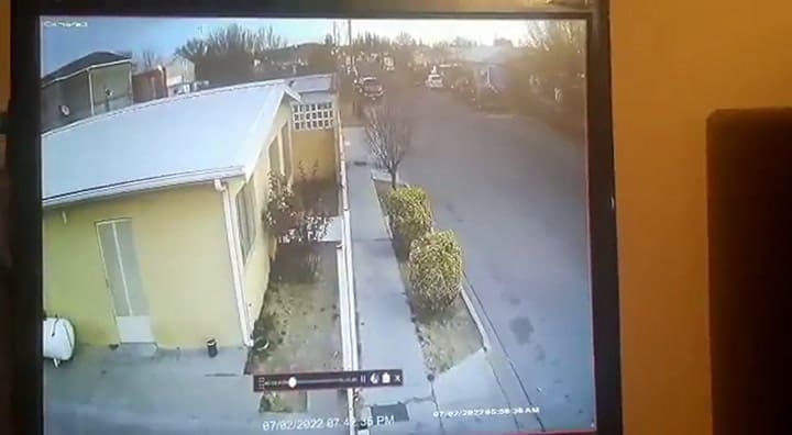 Las cámaras de seguridad registraron el momento exacto en el que los pájaros murieron en pleno vuelo