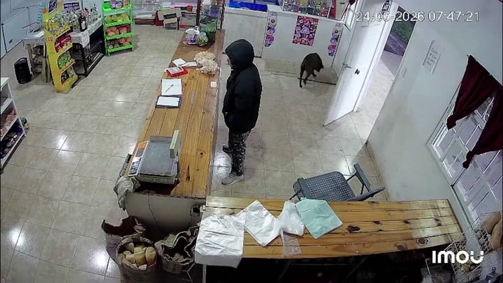 Una mujer quiso robar un comercio, forcejeó con la dueña y terminó desnuda en Santa Fe