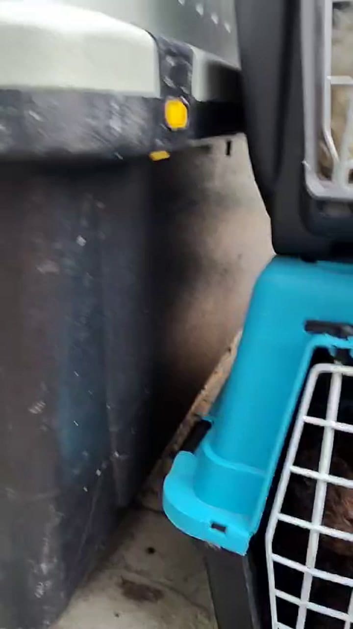 Vid-20240607-wa0071