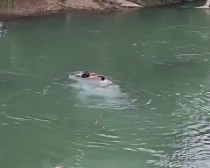 Un camión cayó al río en Neuquén y la gente se tiró al agua para quedarse con paquetes de encomienda