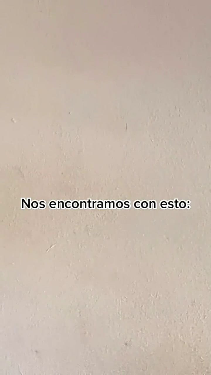 Inquilinos le devuelven el departamento y no puede creer cómo está