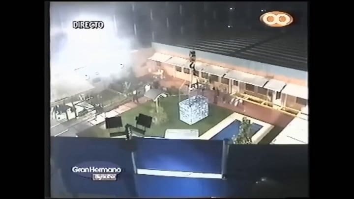Se Conoció Una Verdad Sobre Malena Y Palmito, Los Perros De “Gran Hermano 2”, Que Pocos Imaginaban Tn