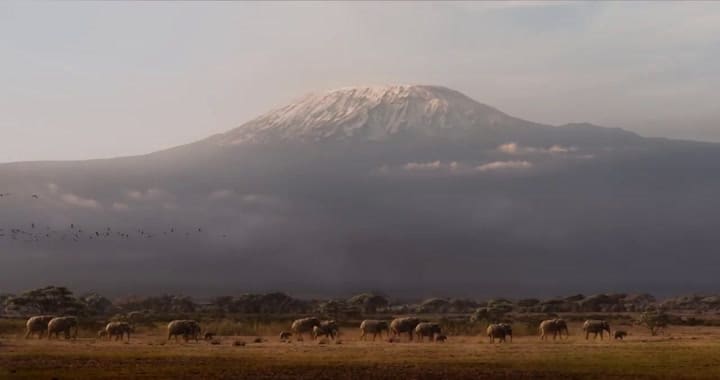 Primer trailer de El Rey León - Fuente: Disney Studios LA