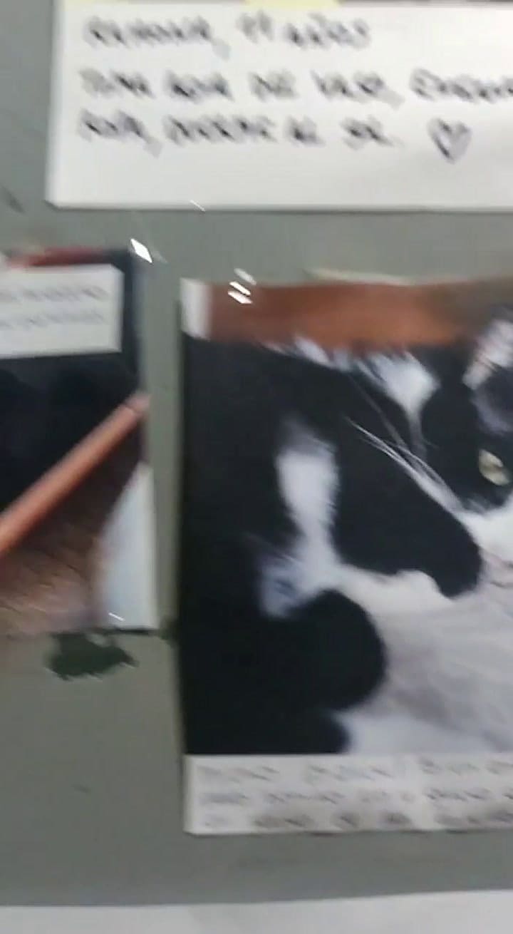Los carteles en el ascensor