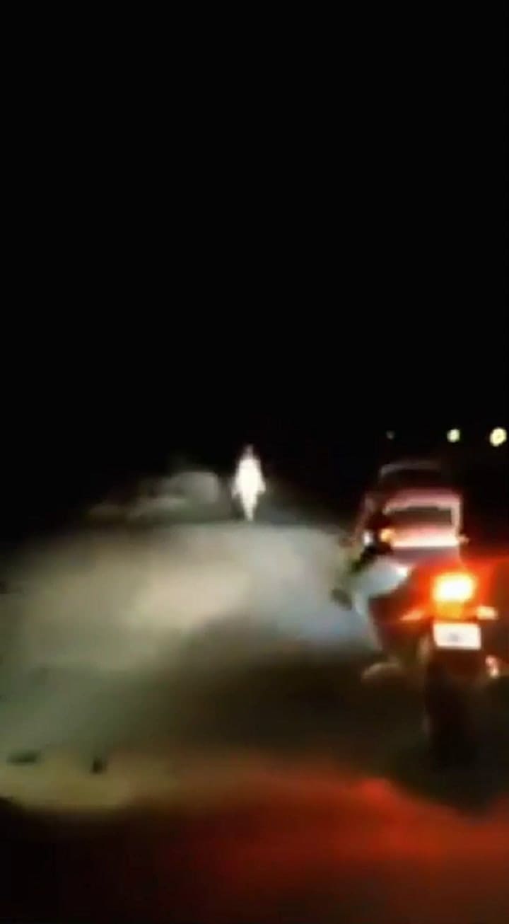 Extraña criatura con extremidades largas vista en una ruta