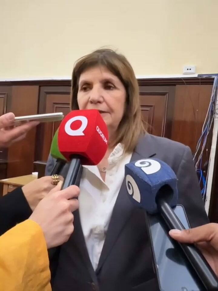Patricia Bullrich se diferenció de la estrategia libertaria por la ley de tierras