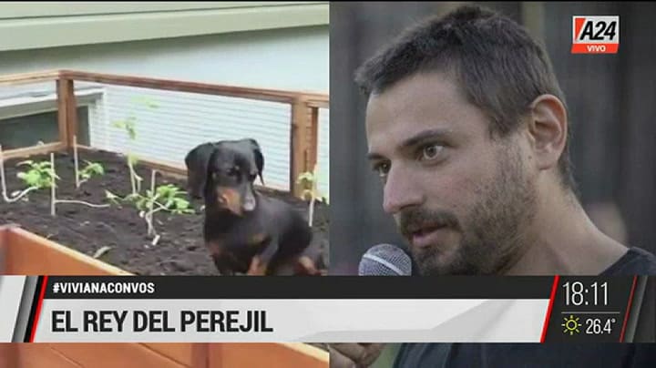 Vivana Canosa comparó a Juan Grabois con un perro salchicha
