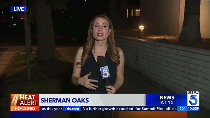 El momento que una cucaracha se trepa a una periodista en vivo