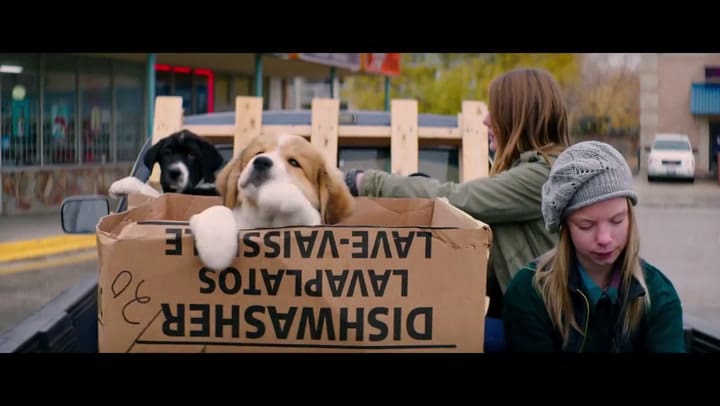 Trailer de La Razón de Estar Contigo