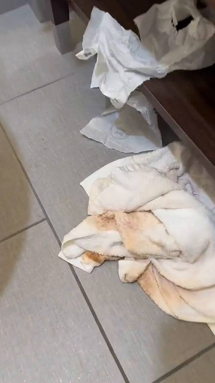 La trabajadora mostró el estado de la habitación y se volvió viral