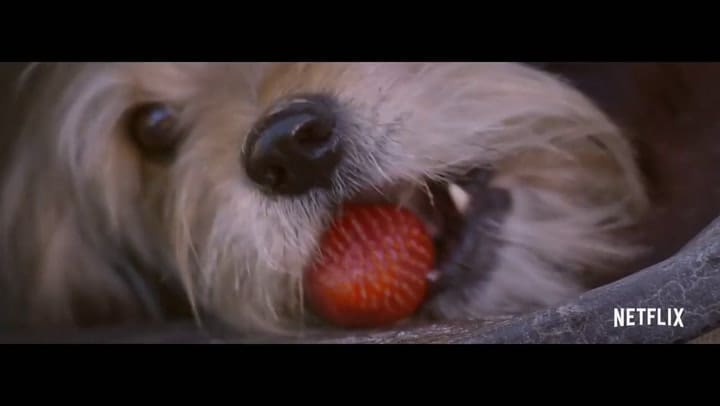 Benji Trailer