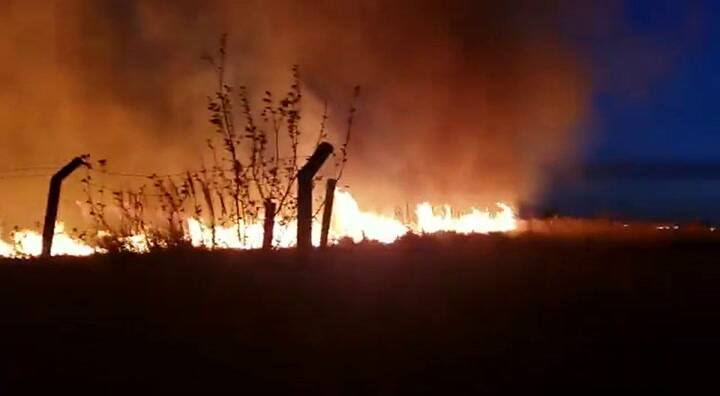 Se incendia una cabecera de El Palomar