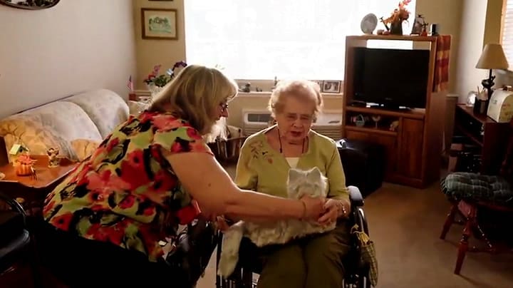 Un video promocional de la mascota robot de Joy For all