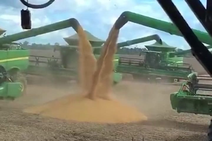 GIF CAMPO